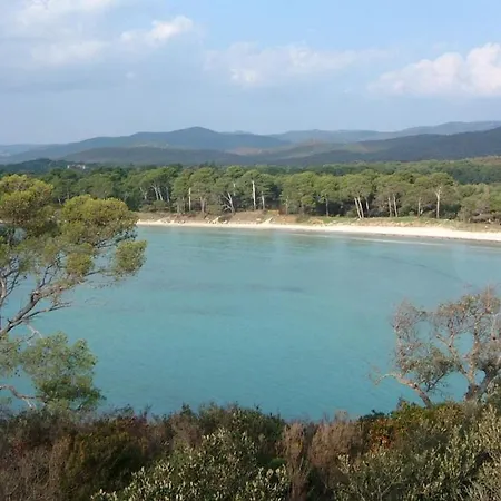 Studio A 50 M De La Plage Et Du Sentier Littoral Hyeres Exterior photo