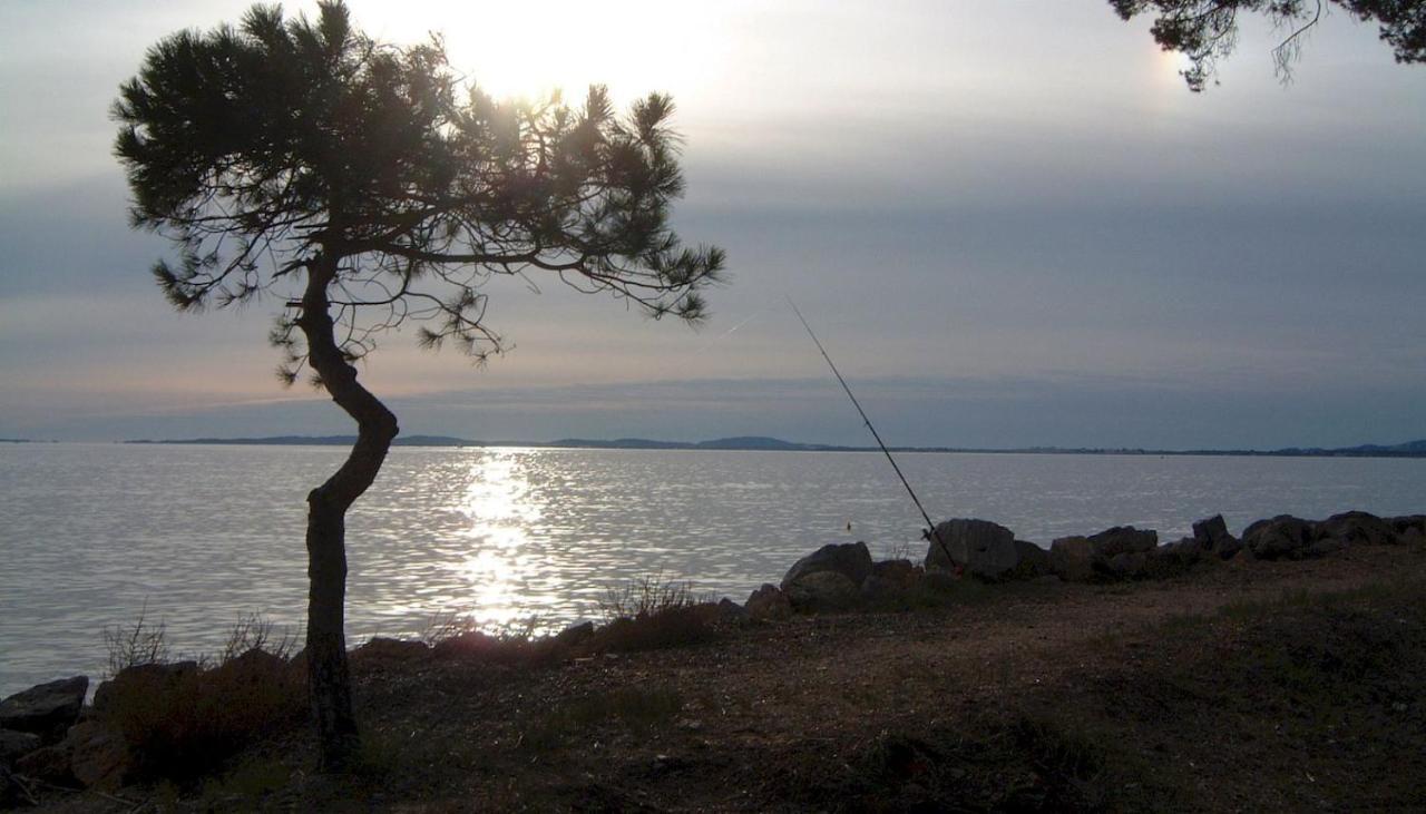 Appartement A 50 M De La Et Du Sentier Littoral