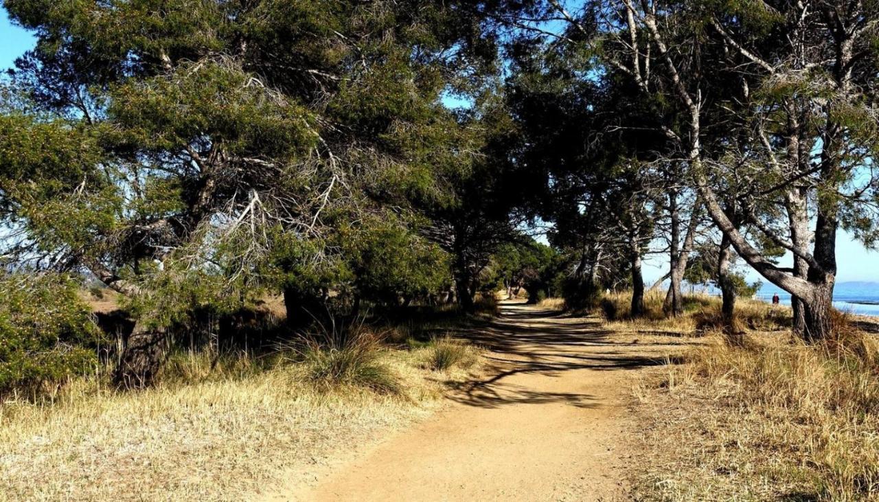 A 50 M De La Et Du Sentier Littoral Appartement Hyères