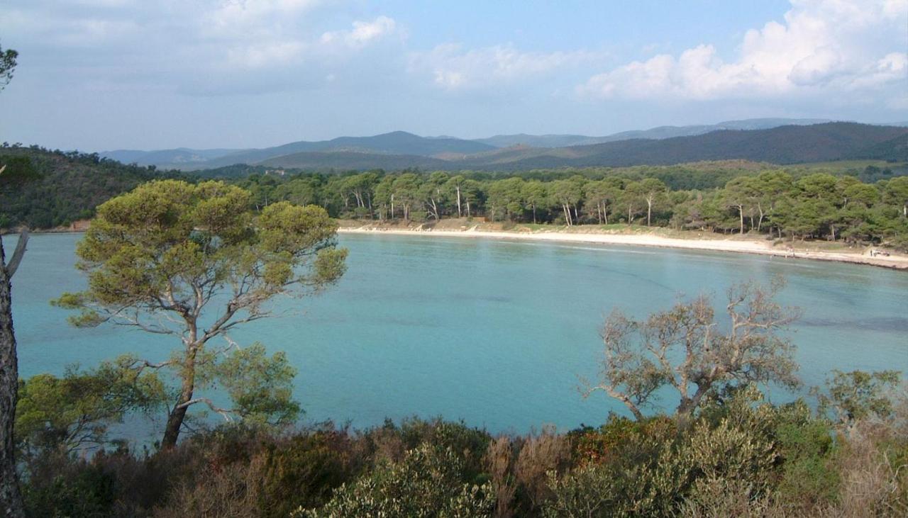 Apartment A 50 M De La Et Du Sentier Littoral Hyeres